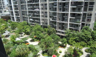 深圳海月五期公寓 办公两用空房，现代租赁新选择