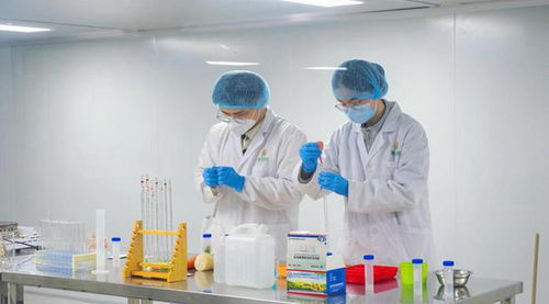 福鼎市福供云厨项目竣工，2023年电子商务“开门稳”启动仪式圆满成功